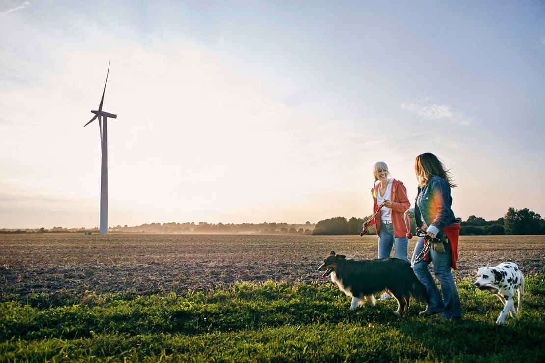 Strom Nienstädt bei Stadthagen